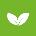 logo-icon-1